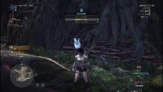 モンスターハンター：ワールド_久しぶりのモンハンアンジャナフ狩りに行こう