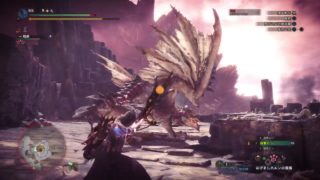 モンスターハンター：ワールド_20181202113304