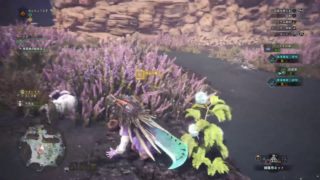 (1080p60HD)高画質！モンスターハンターワールド#167