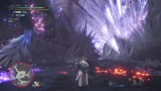 モンスターハンター：ワールド_20180730195544