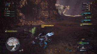 趣味はゲーム、PS4 Pro モンスターハンター：ワールド 皇金武器を求めて…