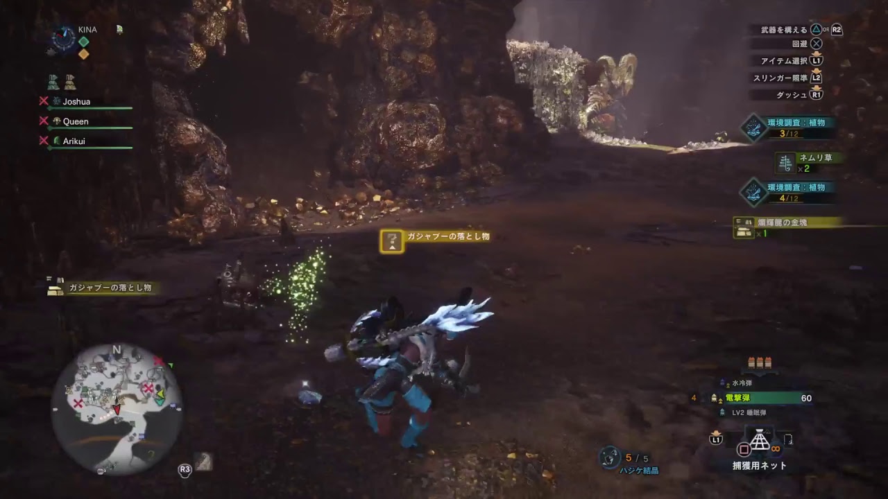 趣味はゲーム、PS4 Pro モンスターハンター：ワールド 皇金武器を求めて…