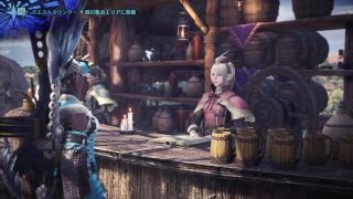 趣味はゲーム、PS4 Pro モンスターハンター：ワールド 武器14種x6個、倉庫が厳しい。