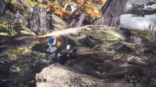 ＃17 モンスターハンターワールド＊初心者による初見プレイだよー*MHW