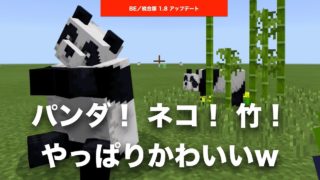 【 #マインクラフト BE／ #統合版 】1.8 #アップデート でパンダ、ネコ、竹が追加。竹ってこんなにのびるんだw ストアにはお得なバンドルパックも #Switch #iPhone