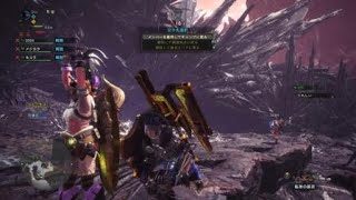 モンスターハンター：ワールド_20181218012319