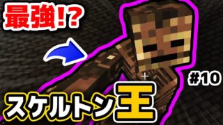 【マインクラフト😜】スケルトンの王が最強すぎた。。。ｗオワクラ第10話【マイクラ実況】【宇宙,まな板MOD】