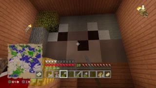 ［PS4版］ゼロから自力で始めるマインクラフト[生配信5]
