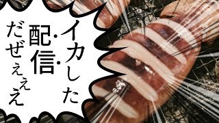 ガチエリア配信【スプラトゥーン2】