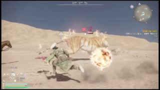 真・三國無双8 プレイ　炎虎は、なに？　20181220