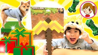 サプライズプレゼントドッキリ　マインクラフト　ツルハシ開封　おもちゃ　柴犬さすけくん　みーたんおねえさん