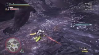 寝ながら極ベヒソロ練習［モンスターハンターワールド］