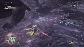 寝ながら極ベヒソロ練習［モンスターハンターワールド］