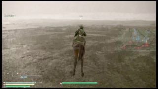 真・三國無双8やるよー♪