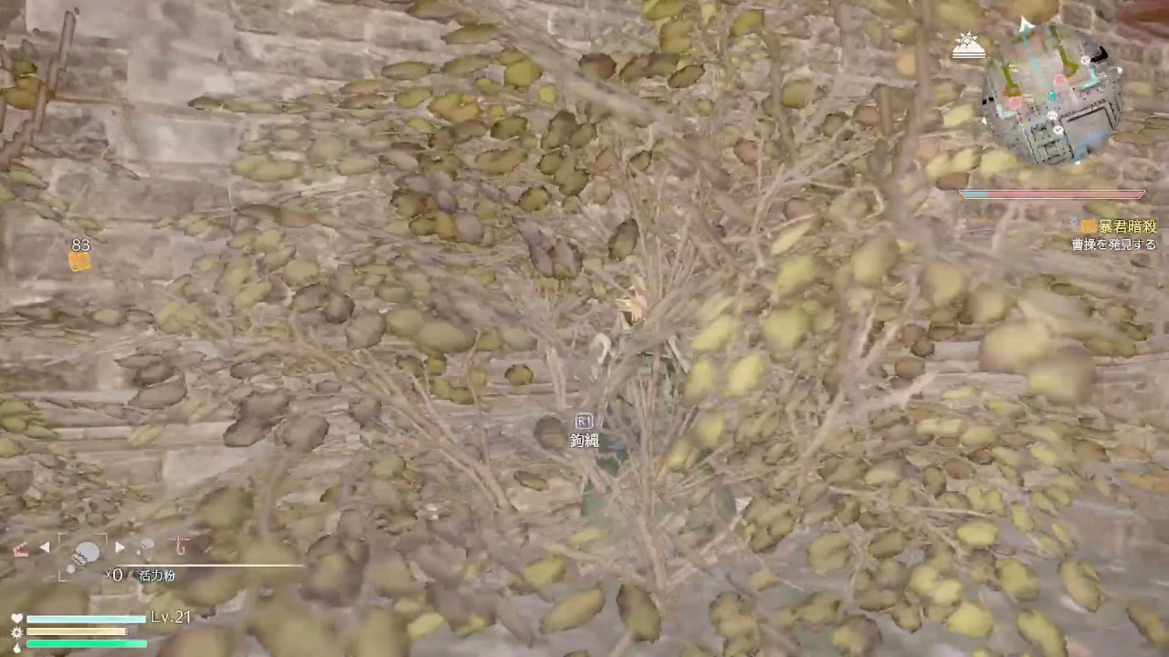 『PS4』「真・三國無双8」を無双するのか？（初見） #3［live］