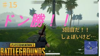 【PUBG】ド素人がドン勝を目指す実況プレイ