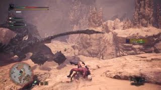 モンスターハンター：ワールド_20181216010517