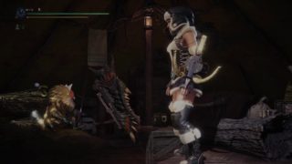 モンスターハンターワールド
イベントクエスト
静寂の帳
歴戦王ヴァルハザク