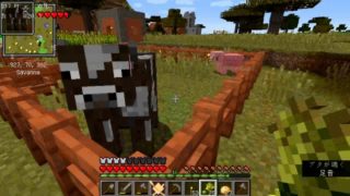 【マインクラフト】実況プレイ初心者がマインクラフトを実況します Part5【声あり実況】