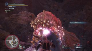 モンスターハンター：ワールド_20180710004730