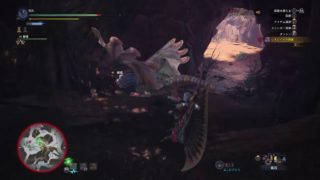 [ モンスターハンター：ワールド ] プケプケ・リオレイア亜種・リオレイア