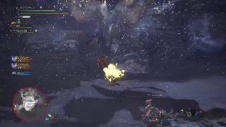 モンスターハンターワールド