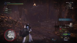 モンスターハンター：ワールド_20190101211533