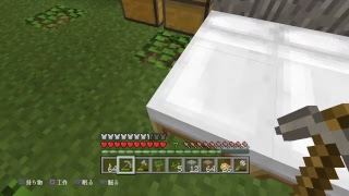 ＊みなのライブ配信＊｛ PS4 マインクラフト ｝森の洋館付近編