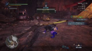 モンスターハンター：ワールド_20190117140808
