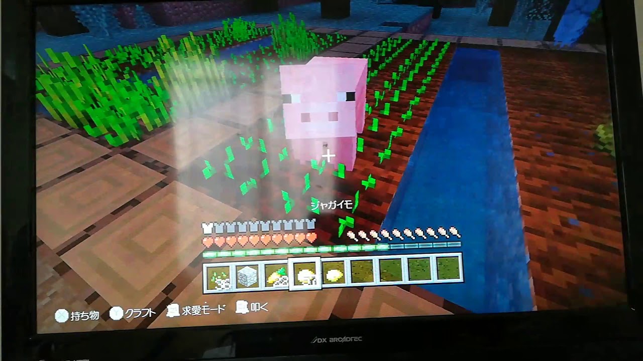 初めてのマインクラフトバグまみれパート1