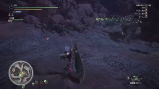 [ モンスターハンター：ワールド ] ボルボロス・イビルジョー・ジュラトドス