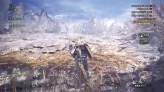 モンスターハンターワールドを今更ながらほぼ初見プレイ#3
