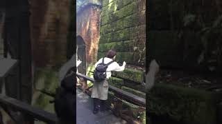 リアルマインクラフト