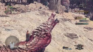 【MHW】モンスターハンターワールド