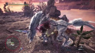 モンスターハンター：ワールド_20190111221339