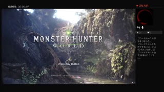 昼間からモンスターハンターワールド