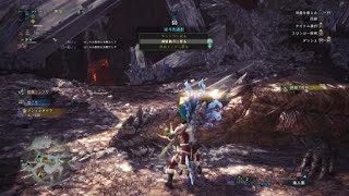 モンスターハンター：ワールド_20190107213807