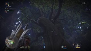 【MHW/PS4】コダイジュノツカイ  モンスターハンターワールド