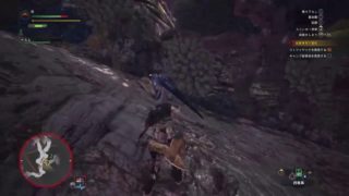 桜姉の今更モンスターハンターワールド　師匠と一緒