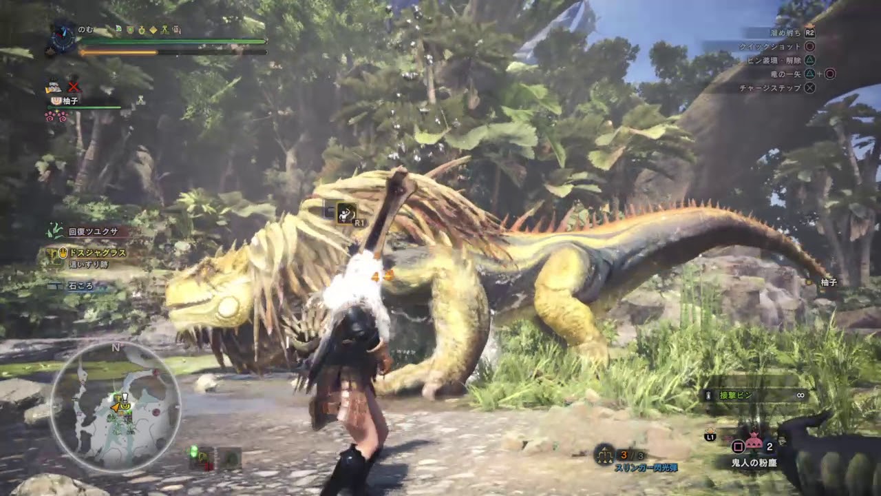 モンスターハンター：ワールド_20190126170834