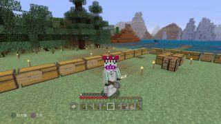 PS4[マインクラフト]まったり雑談ラジオ放送※画面固定多いです　[概要欄チェック]