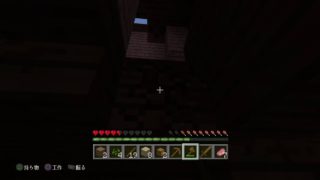 マインクラフト　横やんの世界