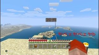 ニューイヤーマインクラフト2019