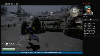 夜叉勇ちゃんがPS4からブロードキャスト(真三國無双8)夏候惇