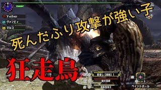 ＃１６　ちょうどいいキチガイ　ワールド勢が行くMHXX！モンスターハンターワールド【MHW】