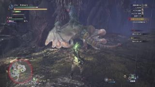 モンスターハンターワールド　やっと兄貴から借りることが出来ました!笑