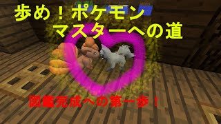 【ゆっくり実況】ヨツンヴァインでポケモンマスターその5【マインクラフト】