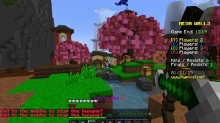 【マインクラフト】　メガウォールズ　日記　part 37