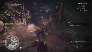 モンスターハンター:ワールド  初見プレイNo.13