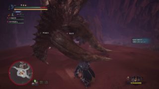 モンスターハンター：ワールド_20190108223921